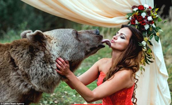 比千萬婚禮更吸睛！ 俄羅斯新人請來重量級「大熊人」證婚